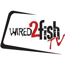 Wired2Fish Logo